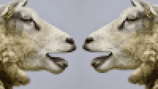sheep-2372148_960_720-light.jpg