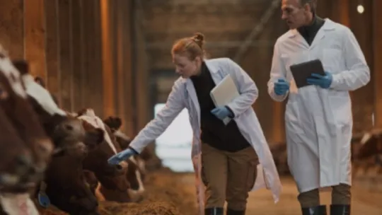 Visuel santé animale