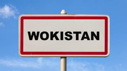 wokisme