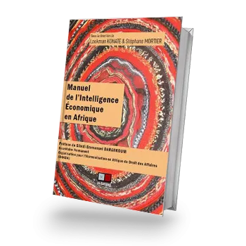 couv_IEenAfrique_ouvragesEGE