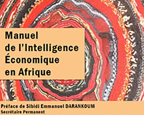 Manuel IE en Afrique