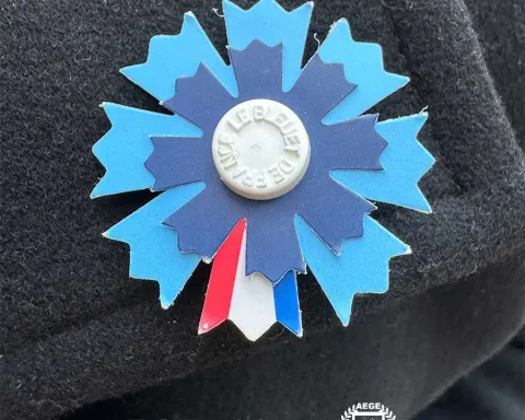bleuet_de_france_AEGE_dons