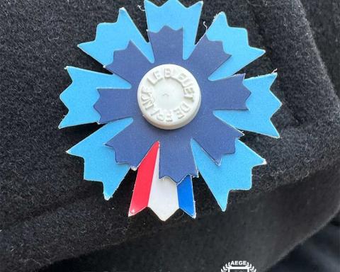 bleuet_de_france_AEGE_dons