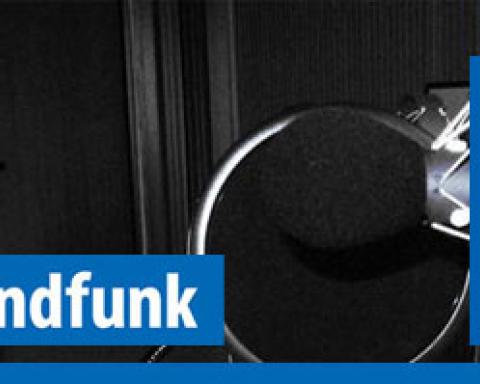 dlf_radio_4e41507c9636904192671fd1ff8d9096.jpg
