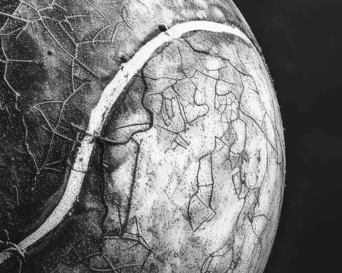 Fond Livre Blanc Sport 2026